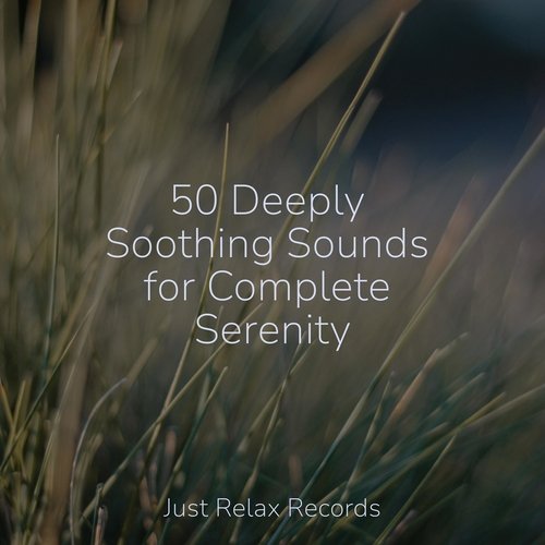 50 Deeply Soothing Sounds for Complete Serenity