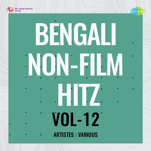 Bengali Non - Film Hitz Vol - 12