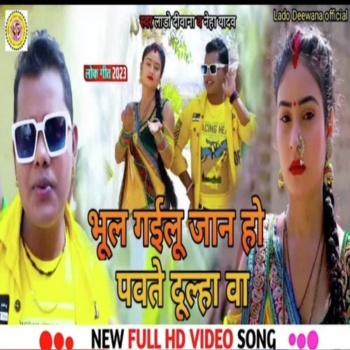 Bhul Gailu Jan Ho Pawate Dulhawa