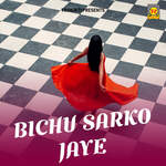 Jija Laye De Te Choli Bhartar