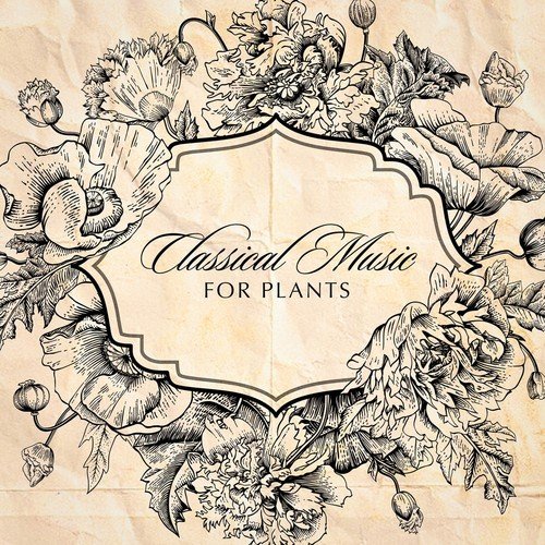 Classical Music for Plants