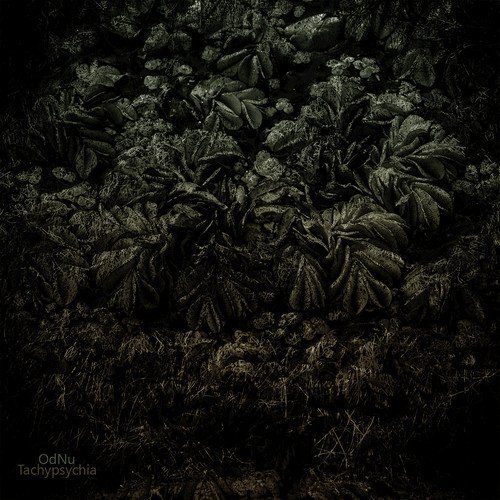 Geist cover art