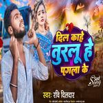 Dil kahe turalu he pagala ke