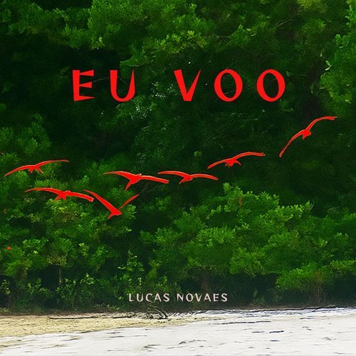 Eu voo