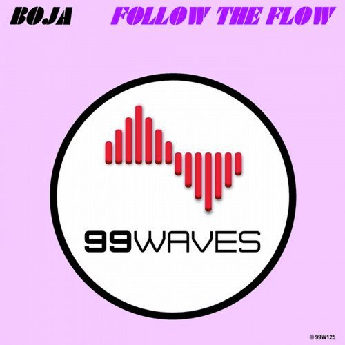 Follow the Flow_poster_image