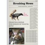 Gully Ka Kutta (Explicit)