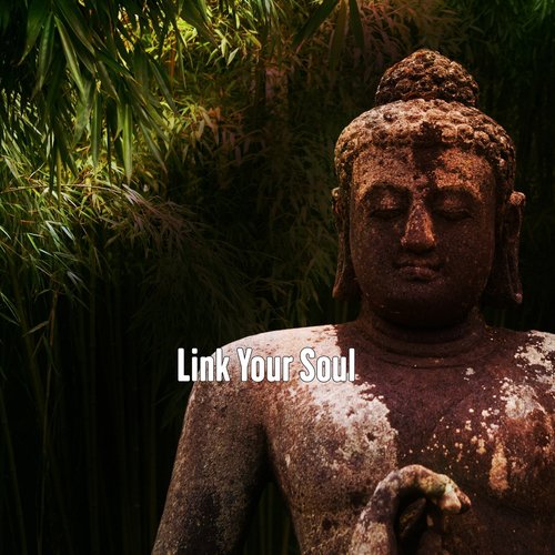 Link Your Soul