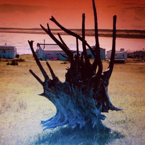 Trindade cover art