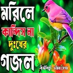 Morile Kandis Na Amar Day