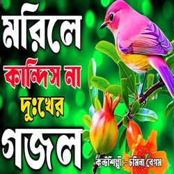 Morile Kandis Na Amar Day