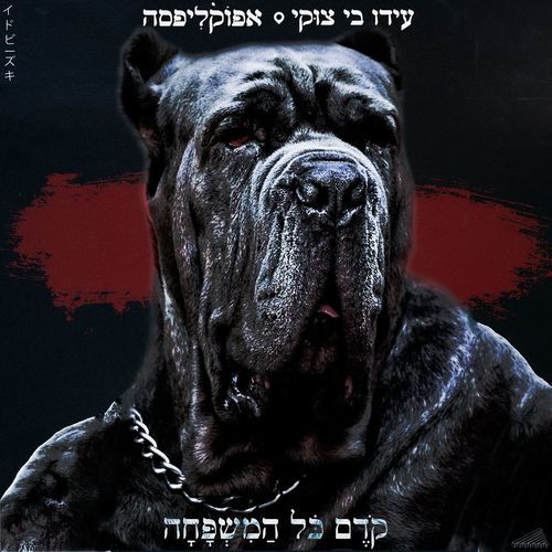 קודם כל המשפחה_poster_image