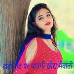 खड़ी रोड पर पाउंगी छोरा मेवाती