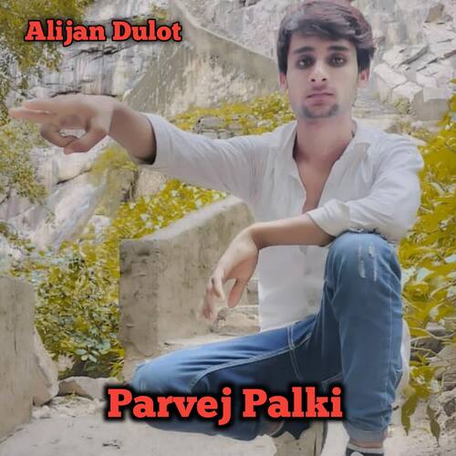 Parvej Palki cover art