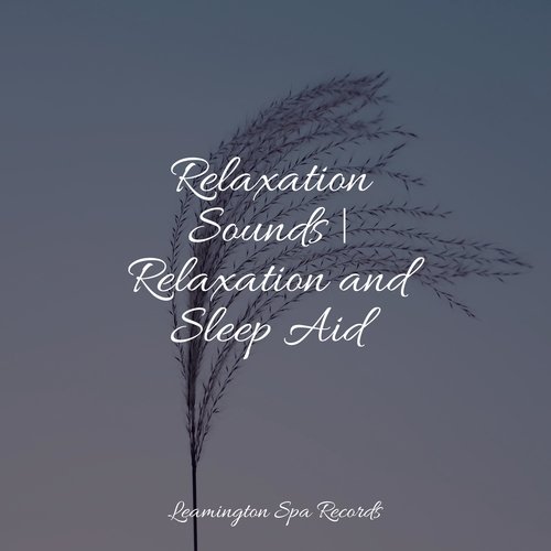 Relaxation Sounds | Relaxation and Sleep Aid