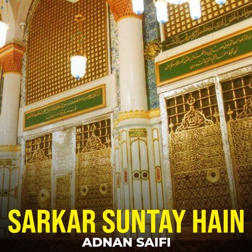 Sarkar Suntay Hain