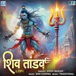 Shiv Tandav (Lofi)