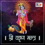Shri Krishna Mantra