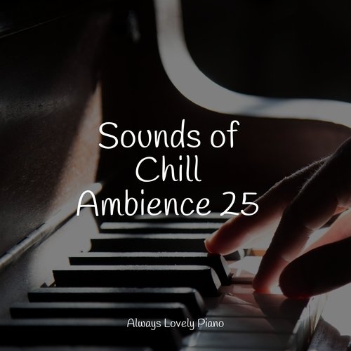 Sounds of Chill Ambience 25