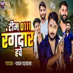 Team 0111 Rangdar Have