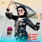 Teri Kaniya Hi Kaniya Hal Chori