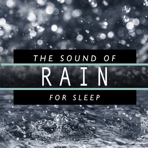 The Sound of Rain for Sleep