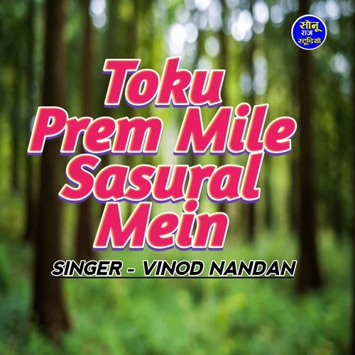 Toku Prem Mile Sasural Mein