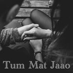 Tum Mat Jaao