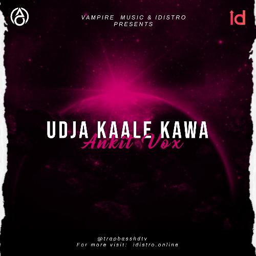 Udd Ja Kaale Kanwan_poster_image