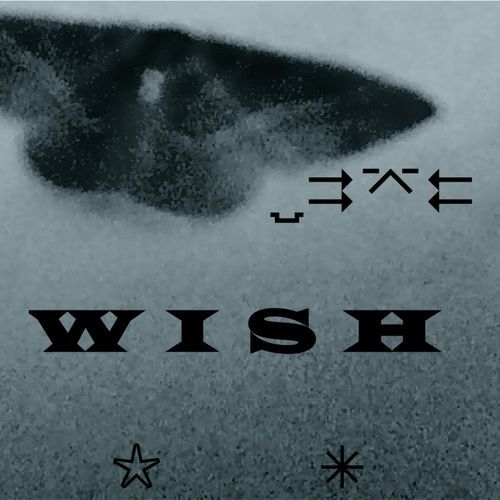 Wish_poster_image