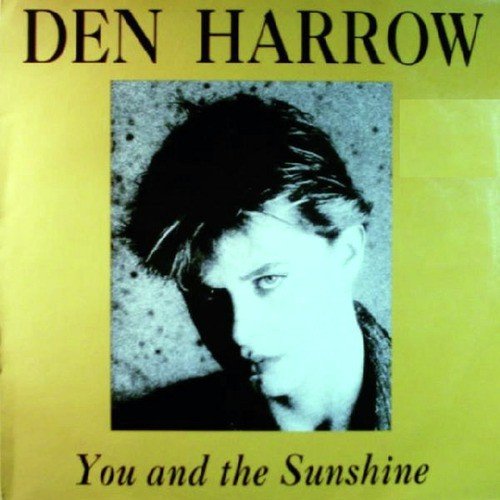 You and the Sunshine (House Mix)_poster_image