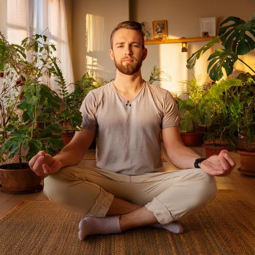 La Paz Zen Se Mantiene En Silencio cover art