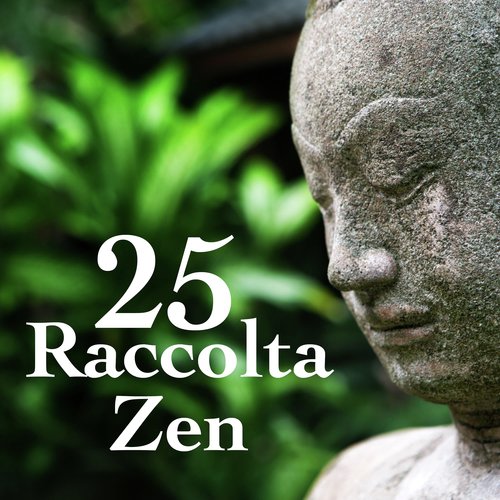 Musica per Meditare cover art