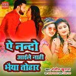 Ae Nando Aaile Naahi Bhaiya Tohar