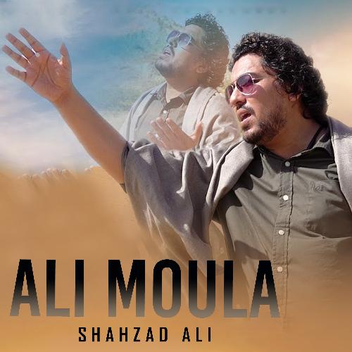 Ali Moula