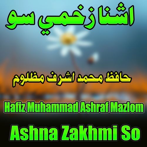 Ashna Zakhmi So