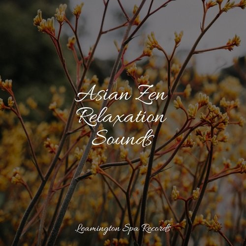 Asian Zen Relaxation Sounds_poster_image