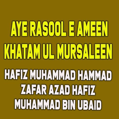 Aye Rasool E Ameen Khatam Ul Mursaleen