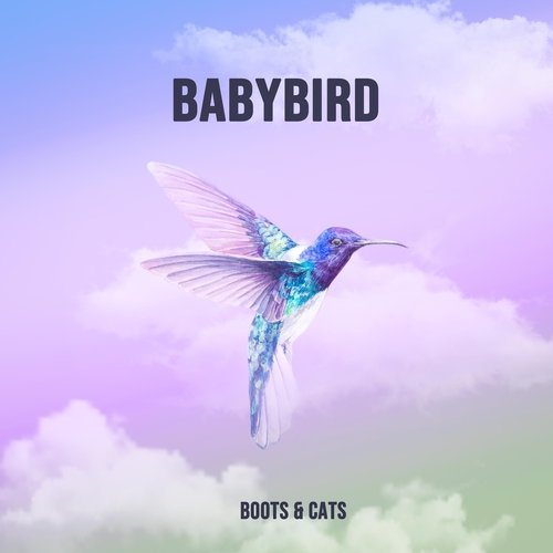 Babybird cover art
