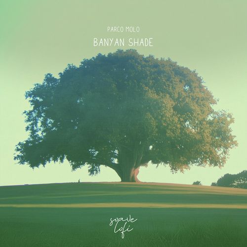 Banyan Shade