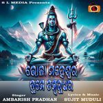 Bhola Maheswara Tume Dambarudhara