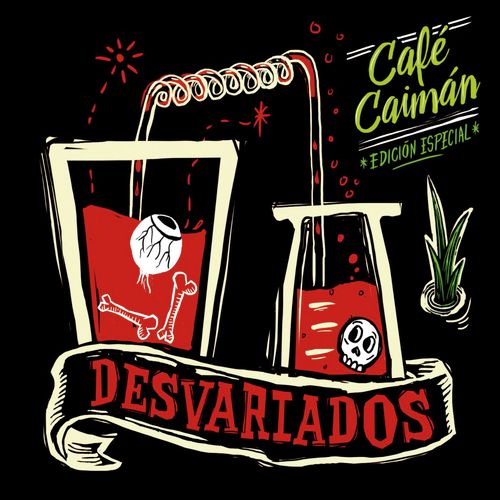 La chica de Dylan (feat. Rulo y la Contrabanda) cover art