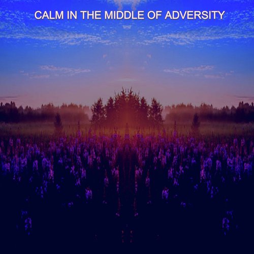 Calm in the Middle of Adversity_poster_image