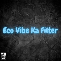 Eco Vibe Ka Filter