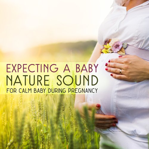 Expecting a Baby (Nature Sounds for Calm Baby During Pregnancy, Reduce Postpartum Stress, Soothing Sounds)