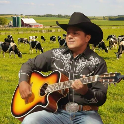 NILSON DA PECUÁRIA cover art