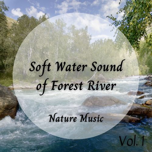 Nature Music: Soft Water Sound of Forest River Vol. 1_poster_image