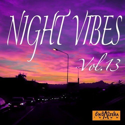Night Vibes, Vol. 13
