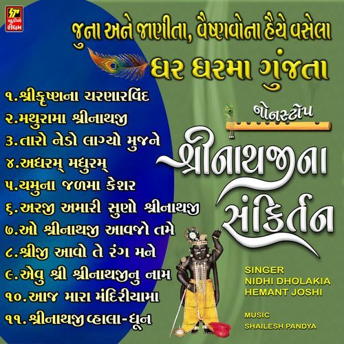 Non Stop Shrinathji Sankirtan