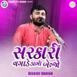 Sarkari Vagade Dabhi Benjo -01