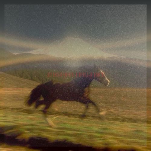 Shadows (Slowed)